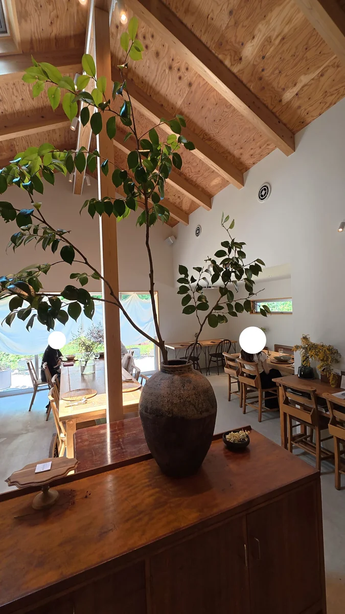 (左)店内。壺と植木を置いた台の向こうに、テーブル席が並びます/(右)ショーケースには焼き菓子。天井は梁が見えたままです
