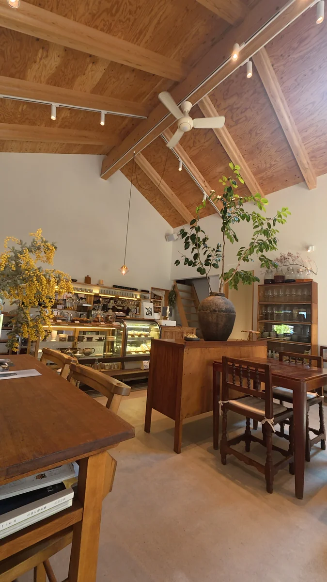 (左)店内。壺と植木を置いた台の向こうに、テーブル席が並びます/(右)ショーケースには焼き菓子。天井は梁が見えたままです