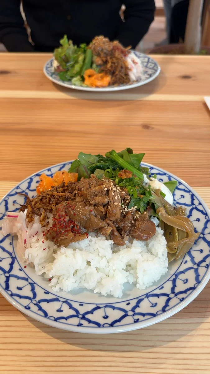 チキンルーローのワンプレート。ごはん、鶏の煮込み、生野菜、副菜が1枚のお皿に盛られています（左）／別の角度から（右）